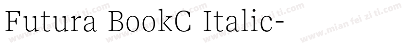 Futura BookC Italic字体转换